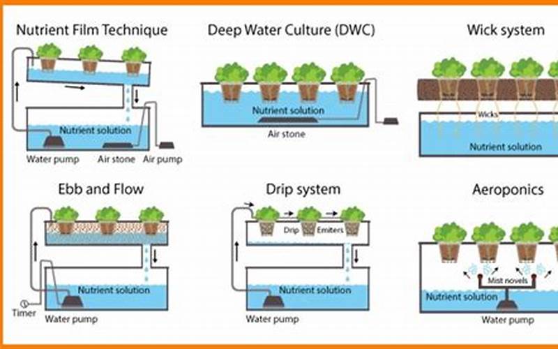 how to make hydroponic system