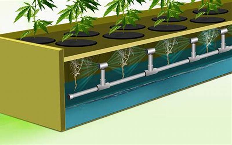 how to make a hydroponic weed system