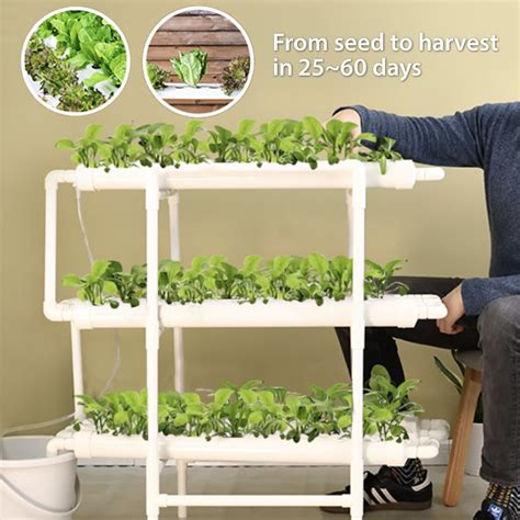 Hydroponic System for Home