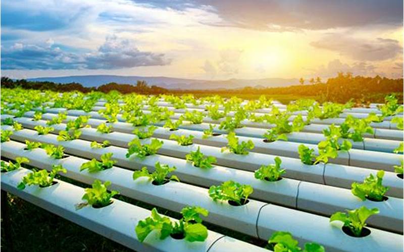 what is hydroponics system
