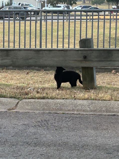 Hyperlaser/Medkit (Roblox: Phighting!) - Works | Archive of Our Own