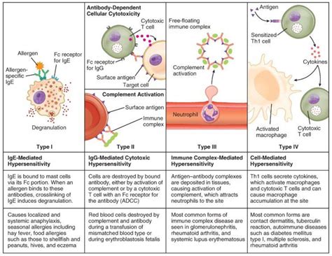 Hypersensitivity (Over-reaction)