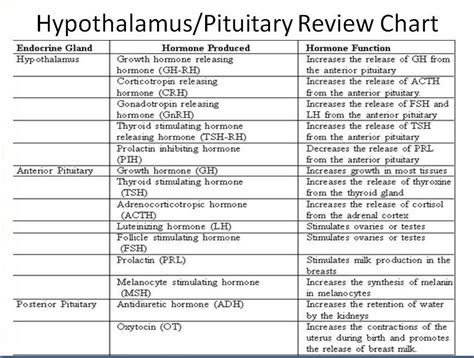 Hypothalamus Hormone Chart