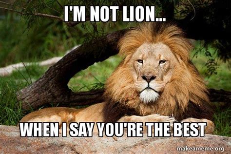 I'm not lion, this is hilarious