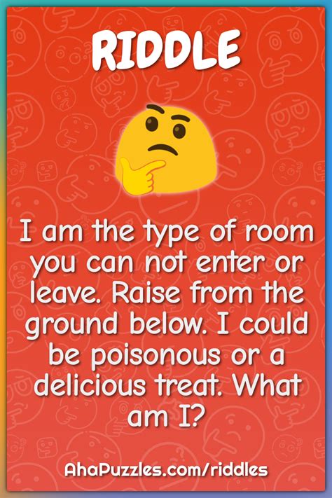 I Am The Type Of Room Riddle Answer