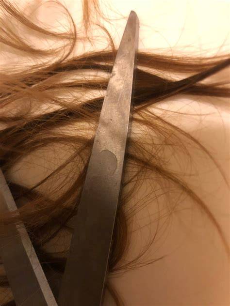 From Rusty Scissors to Flawless Locks: My Haircut Adventure