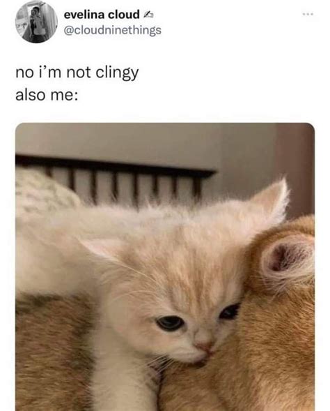 I Like Clingy Meme