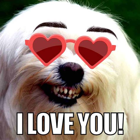 I Love You Meme