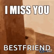 I Miss You Meme For Friend