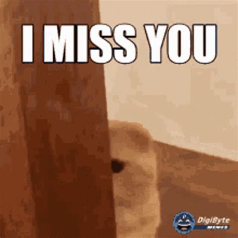 I Miss You Soft Meme