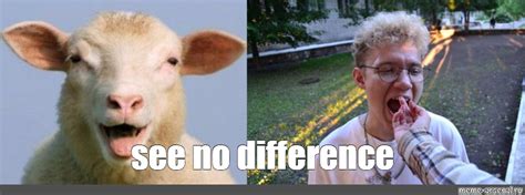 I See No Difference Meme Template