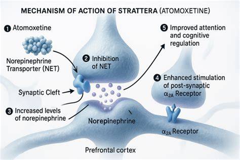 I found that strattera works quickly but needs consistent use