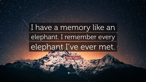 I have a memory like an elephant