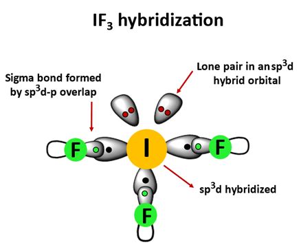 IF3 Hybridization