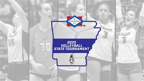 ILMEA All-State Volleyball Net program tournament