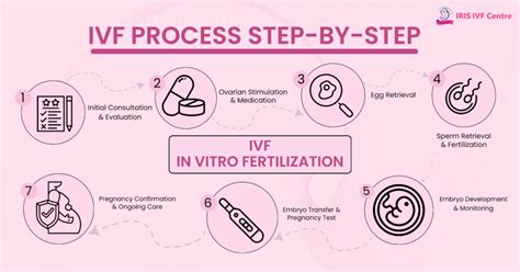 IVF: Understand Your Options & Chances.