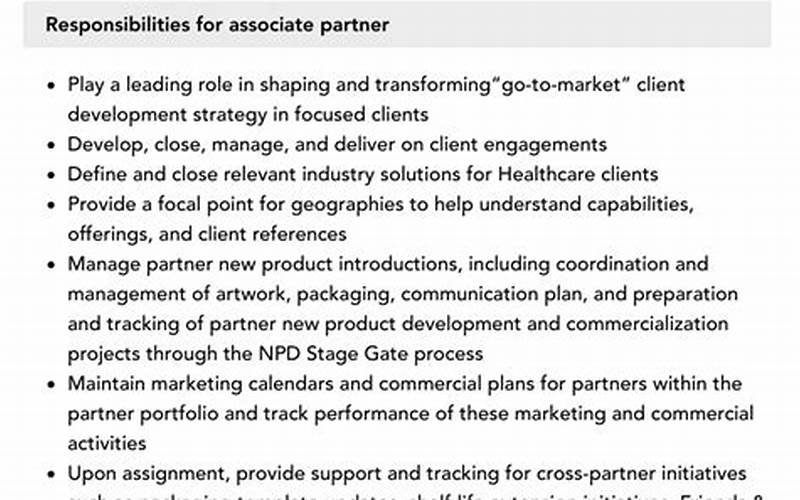 Ibm Associate Partner Job Description