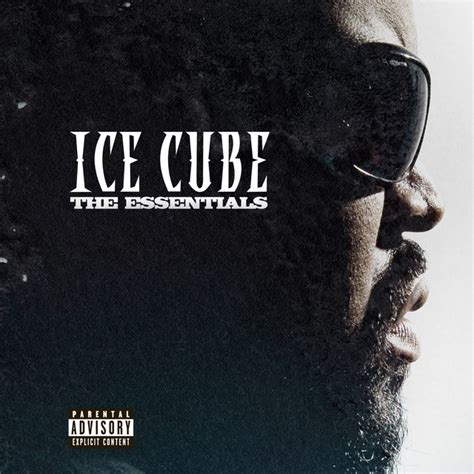 Ice Cube Today Was A Good Day ( Instrumental ) YouTube