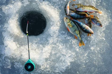 Ice Fishing Techniques