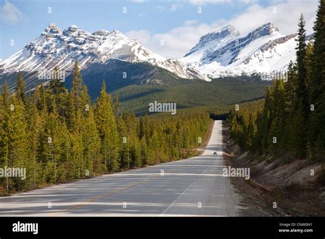 Icefields Parkway Scenery