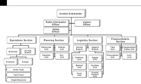 FREE 8+ Sample ICS Organizational Chart Templates in PDF