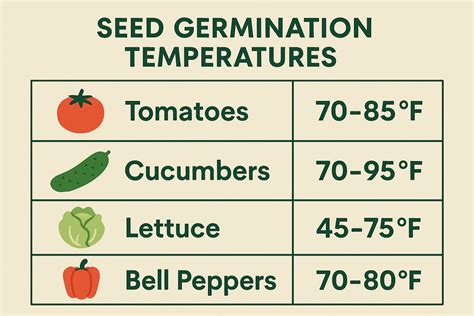 Ideal Conditions for Germination