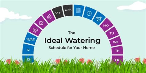 Ideal Watering Schedule