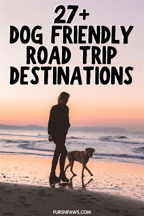 Ideas For 12 Dog Friendly Spots To Visit In Excelsior
