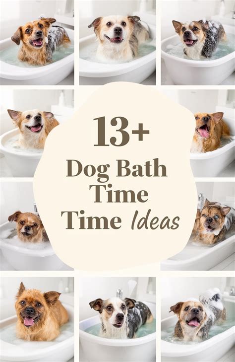 Ideas For 4 Tips For Bath Time Fun With Your Pets