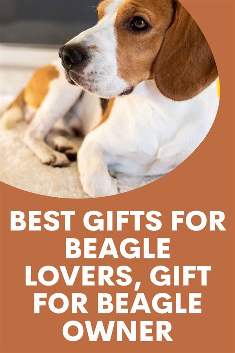 Ideas For Beagle Owners