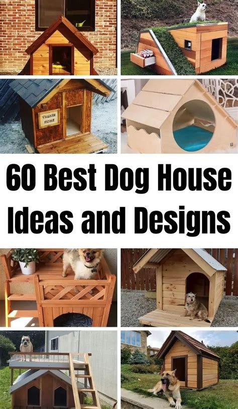Ideas For Best Dog For Small House