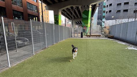 Ideas For Dog Friendly North Loop Lole
