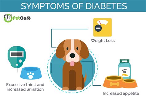 Ideas For Dogs And Diabetes