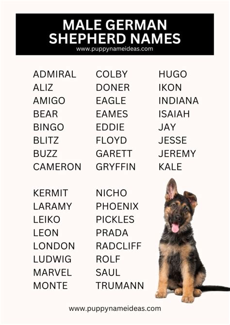 Ideas For German Shepherd Names