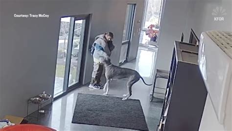 Ideas For Great Dane Attacks Human