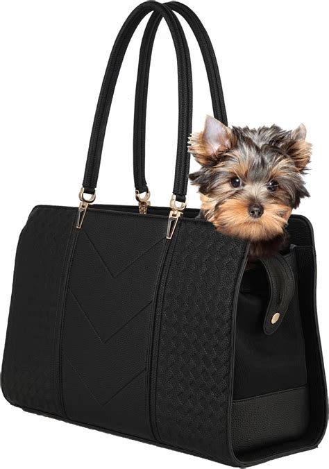 Ideas For Handbag Dogs For Sale