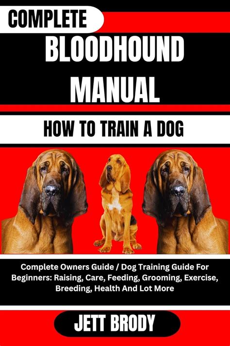 Ideas For How To Care For A Bloodhound