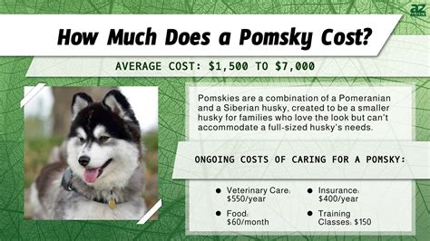 Ideas For Pomsky Prices