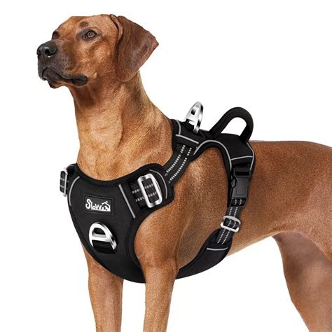 Ideas For Pull Dog