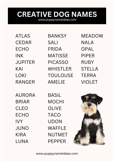 Ideas For Spirit Dog Names