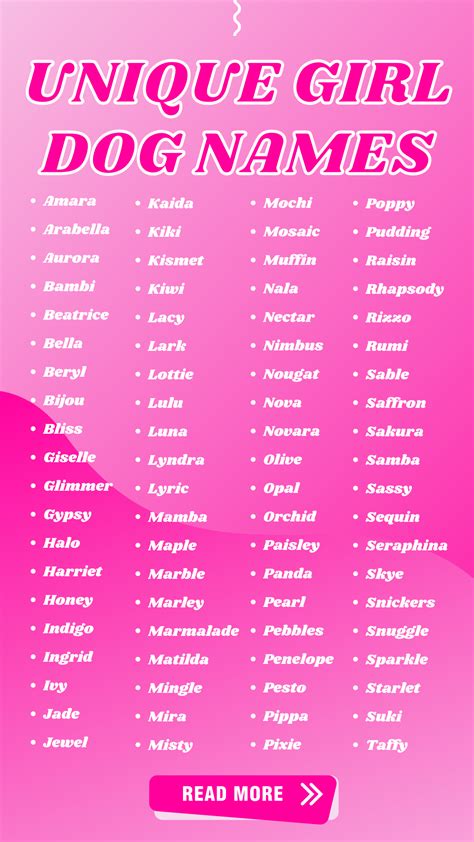 Ideas For Uncommon Girl Dog Names