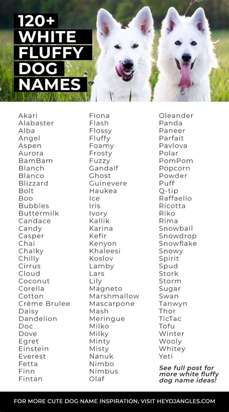 Ideas For White Fluffy Dog Names