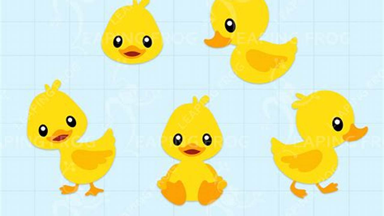 Identify Different Species Of Ducks, Free SVG Cut Files