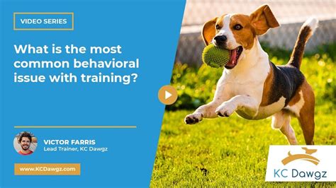 Identifying Common Behavioral Issues Solved by Training