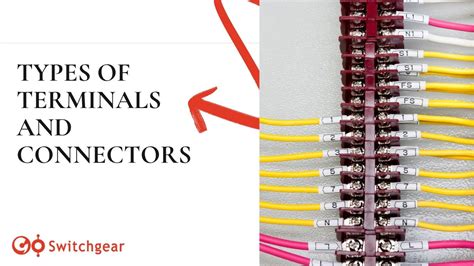 Identifying Connectors and Terminals Image