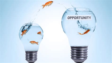 Identifying Lucrative Opportunities