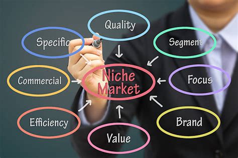 Identifying Profitable Niche Markets to Launch Your Business