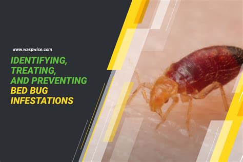 Identifying Severe Infestations