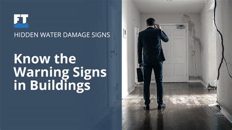 Identifying Water Damage Signs in Commercial Properties