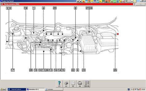 Identifying Wire Functions